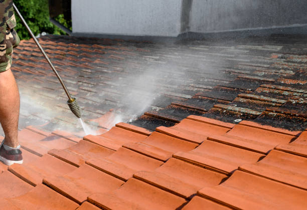 Best Residential Pressure Washing Services  in Windsor, MO