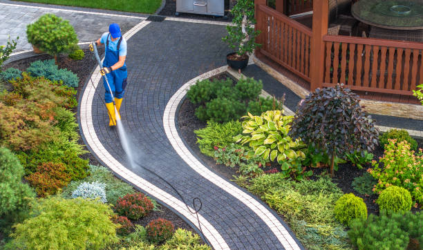 Best Concrete Pressure Washing  in Windsor, MO